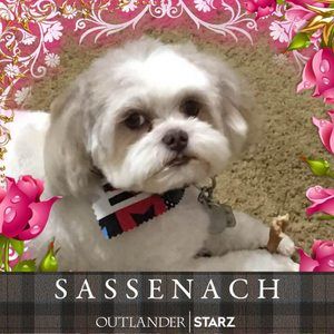 Meet your Posher, Teresa